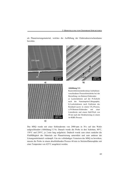 Entwicklung einer Nanotechnologie-Plattform für die ... - JuSER