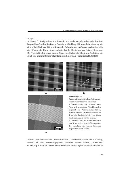 Entwicklung einer Nanotechnologie-Plattform für die ... - JuSER