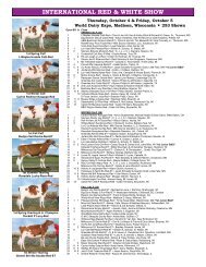 international red & white show - Red & White Dairy Cattle Association