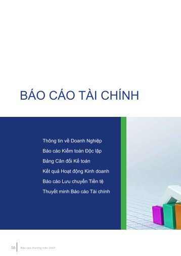 VNM: BÃ¡o cÃ¡o tÃ i chÃ­nh kiá»m toÃ¡n nÄm 2007 - SJCS