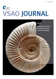 PDF-Ansicht Ã¶ffnen (5 mb) - VSAO Journal