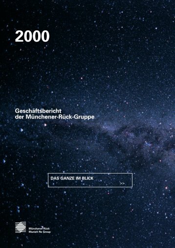 Geschäftsbericht der Münchener-Rück-Gruppe - Munich Re