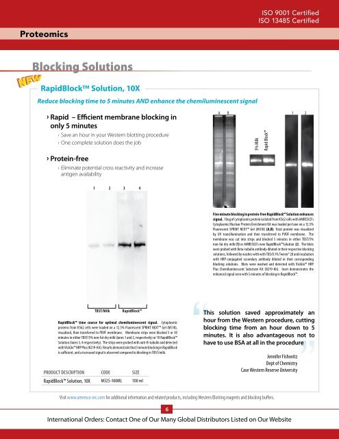 Protein Electrophoresis