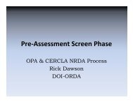 Pre-Assessment Screen Phase