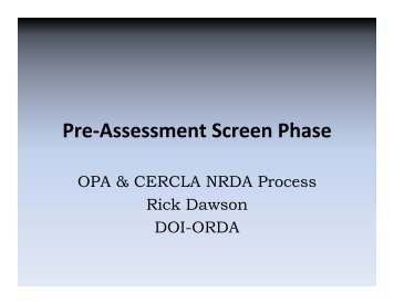 Pre-Assessment Screen Phase