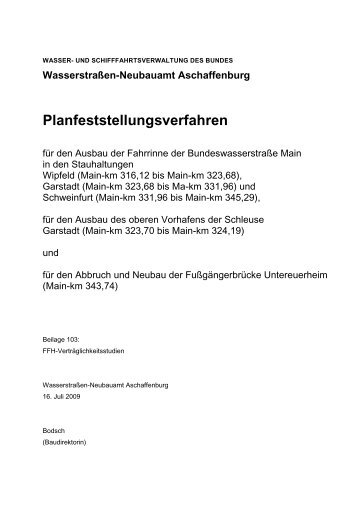 VertrÃ¤glichkeitsstudie - SÃ¼d - Wasser- und Schifffahrtsverwaltung ...