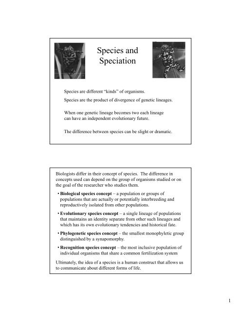 Species and Speciation 2.pdf