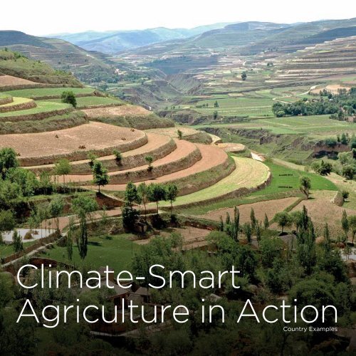 Climate Smart Agriculture: A Call to Action - PROFOR