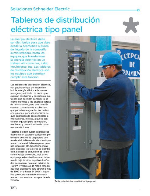 Tableros de distribuciÃ³n elÃ©ctrica tipo panel - Schneider Electric