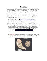 Print the Fossils activity worksheets. - SDSC Education