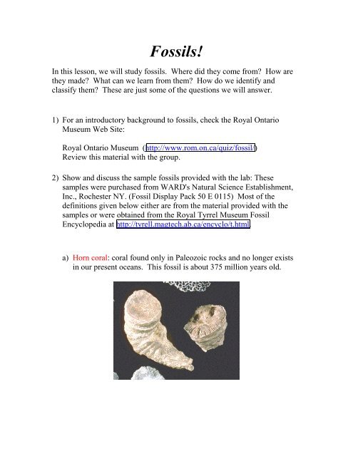 Print the Fossils activity worksheets. - SDSC Education