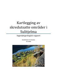 Kartlegging av skredutsatte omrÃ¥der i Sulitjelma