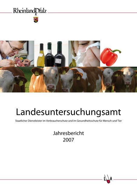 Jahresbericht 2007 - Rheinland-Pfalz