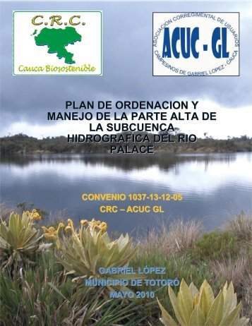 Cuenca Río Palacé - Corporación Autónoma Regional del Cauca