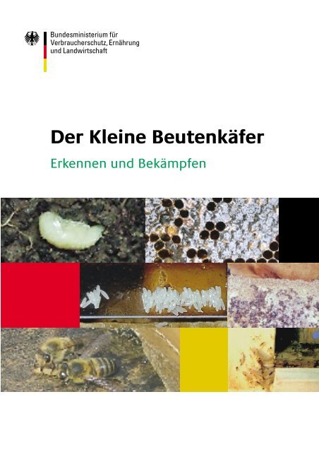 Der Kleine BeutenkÃ¤fer