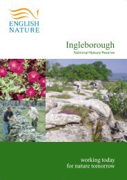 Ingleborough NNR leaflet (PDF, 711.5 kb)