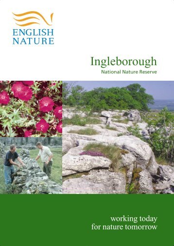 Ingleborough NNR leaflet (PDF, 711.5 kb)