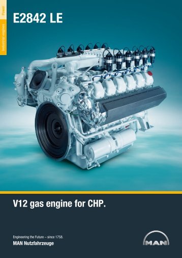 E2842LE - MAN Engines & Components Inc.