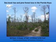 Mike Ross - Sea Level Rise and Pine Forest Loss in the Florida Keys