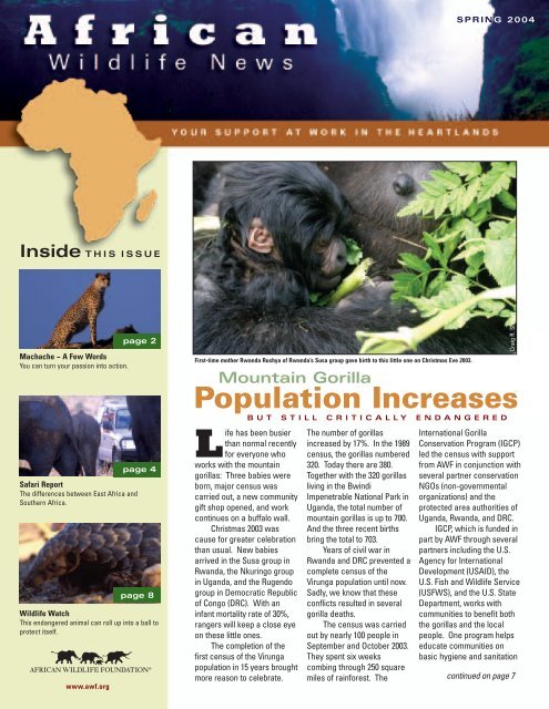 Population Increases - African Wildlife