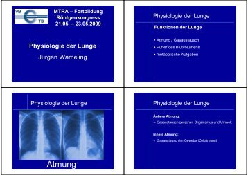 Physiologie der Lunge