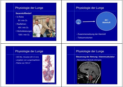 Physiologie der Lunge