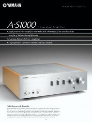 A-S1000 .pdf - Style Sound