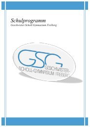 Schulprogramm - Geschwister-Scholl-Gymnasium Freiberg