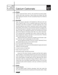 Calcium Carbonate.pdf - Sappi Mobile