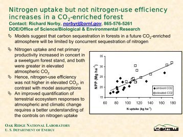 Nitrogen uptake but not nitrogen-use efficiency increases in a CO2 ...