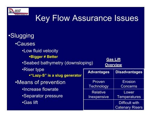 Deepwater Field Development - Flow Assurance - Dynamic ...