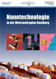 Vorwort - Scanning Probe Methods Group