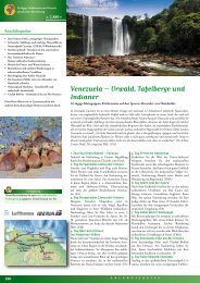 Venezuela – Urwald, Tafelberge und Indianer