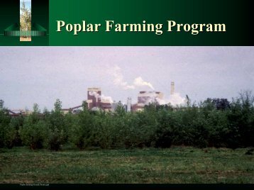 Poplar Farming Program - Pollution Probe