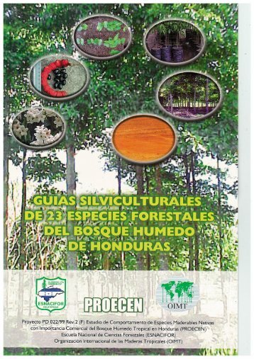 [es]Guias silviculturales de 23 especies forestales del bosque ... - ITTO