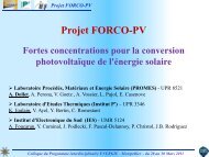 Projet FORCO-PV - Programme Interdisciplinaire Energie 2010-2013