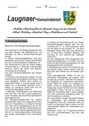 Laugnaer-