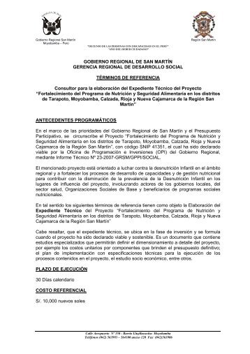 GOBIERNO REGIONAL DE SAN MARTÃN GERENCIA REGIONAL ...