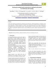 Hydrogen production by hydrolysis of sodium borohydride for PEM ...