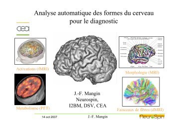 Analyse automatique des formes du cerveau pour le ... - CEA Saclay