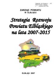 Strategia Powiatu ElblÄskiego 2007-2015 - Starostwo Powiatowe w ...