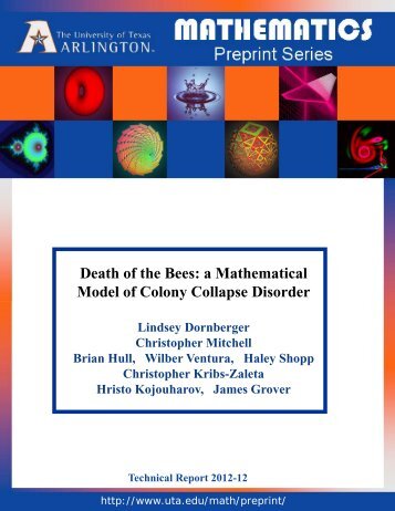 Death of the Bees: a Mathematical Model of Colony Collapse Disorder