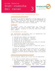 FichaTecnica3-Post cosecha del cacao.pdf - Soluciones Practicas