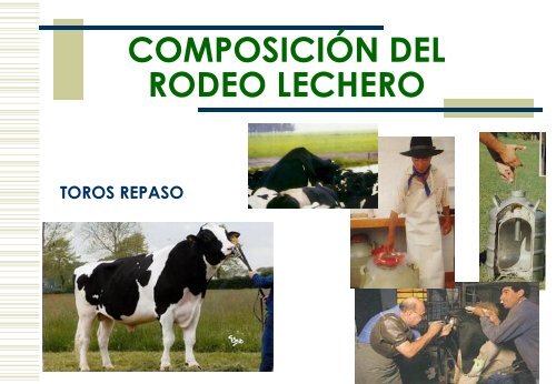 Tema 4. ComposiciÃ³n del Rodeo Lechero