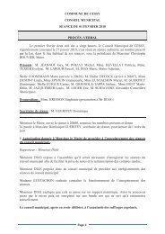 Conseils municipaux 2010 - Mairie de CESSY