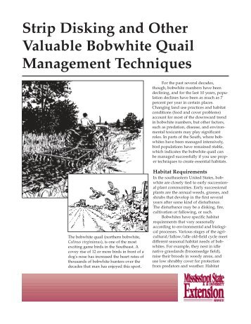 Strip Disking and Other Valuable Bobwhite Quail Management ...