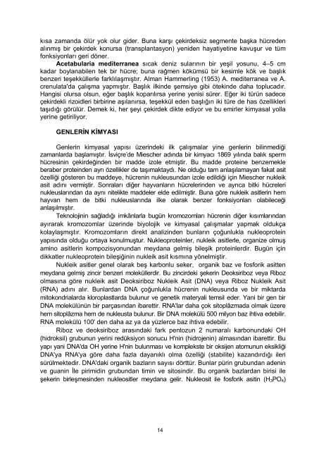 Genetik Ders NotlarÄ± 1998 - Akademik Bilgi Sistemi - Kafkas ...