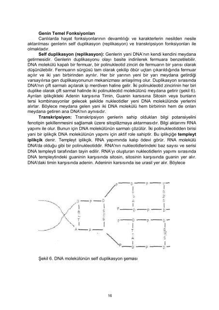 Genetik Ders NotlarÄ± 1998 - Akademik Bilgi Sistemi - Kafkas ...