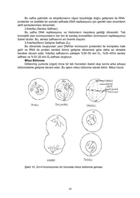 Genetik Ders NotlarÄ± 1998 - Akademik Bilgi Sistemi - Kafkas ...