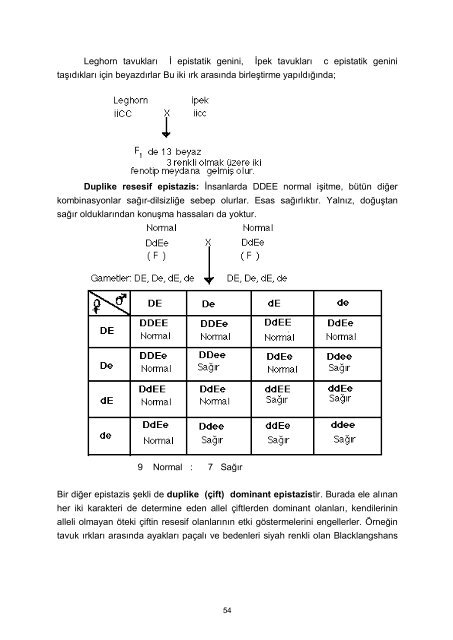 Genetik Ders NotlarÄ± 1998 - Akademik Bilgi Sistemi - Kafkas ...